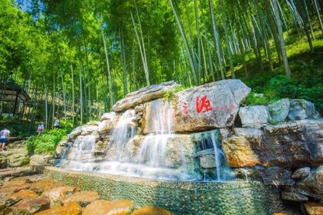 学生春游季|最好的课堂在宜兴竹海的自然乐园里