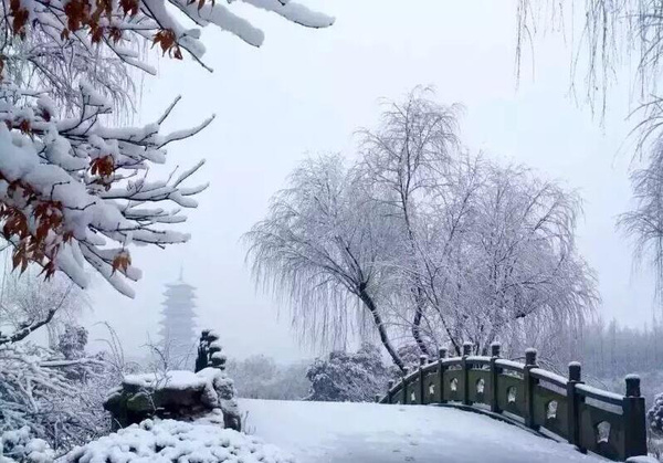 宜兴雪景