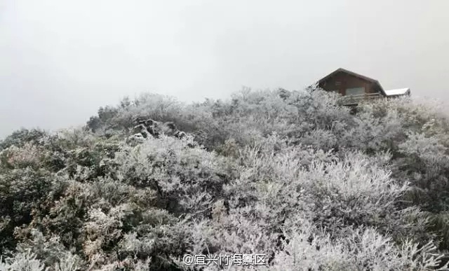 宜兴竹海雪景