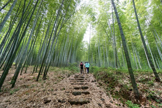 宜兴黄塔顶