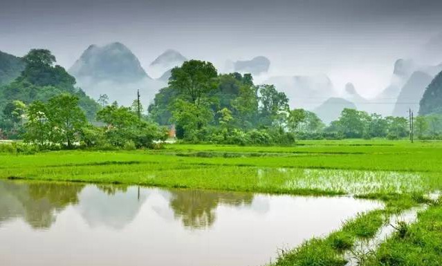 黄梅雨季