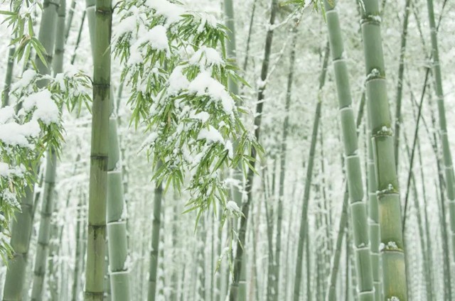 雪后湖㳇