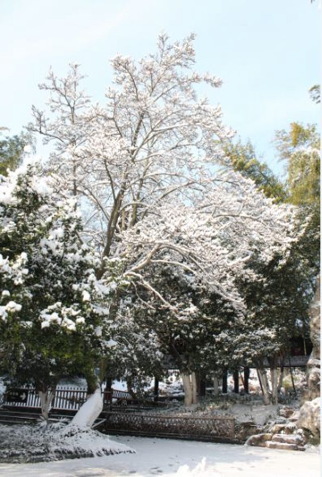 善卷洞雪景