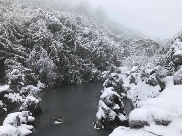 竹海雪景