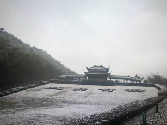 竹海雪景