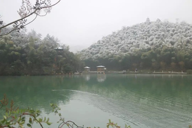  竹海雪景