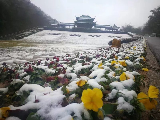  竹海雪景