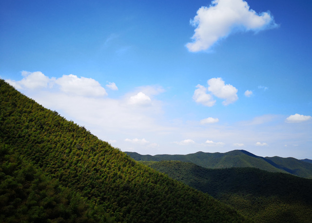 宜兴竹海旅游