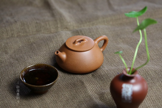 降坡泥 心舟石瓢