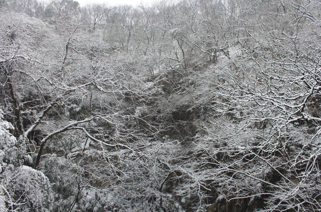 善卷洞雪景