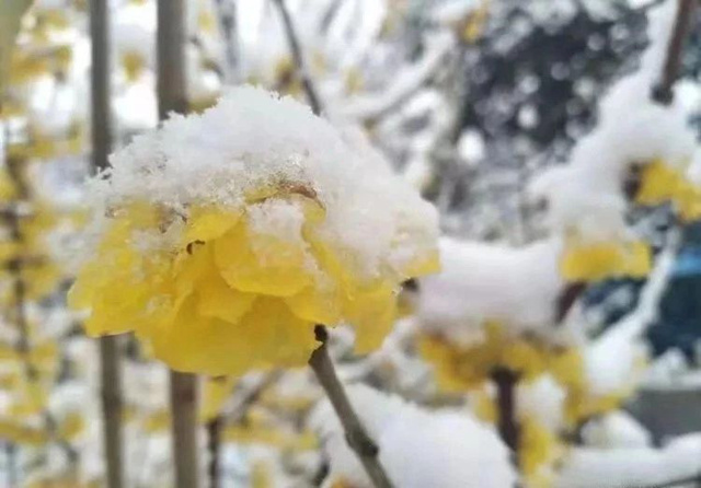 阳羡溪山雪景