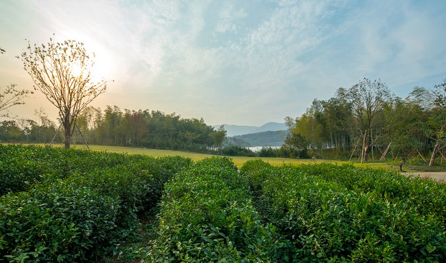 阳羡溪山滨湖公园