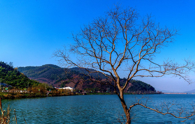 龙珠湖
