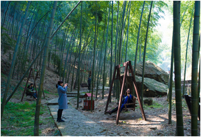 宜兴竹海风景区